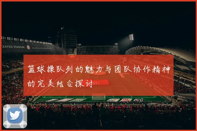 篮球操队列的魅力与团队协作精神的完美结合探讨