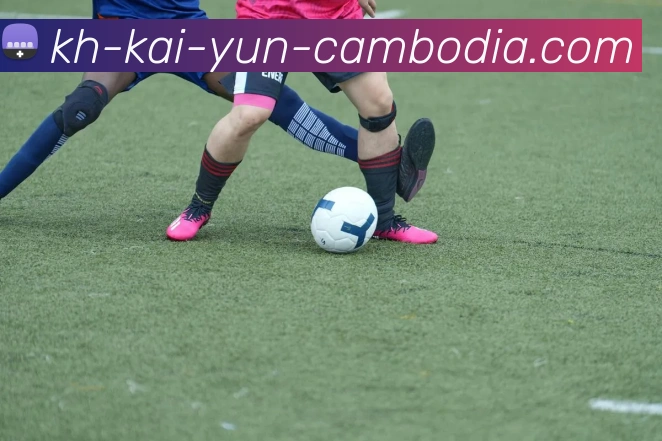 Kaiyun平台生态图